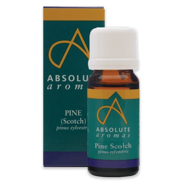Absolute Aromas Scotch Pine Essential Oil 10ml