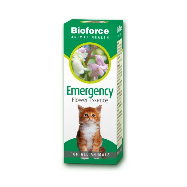 Box of Bioforce Animal Emergency Essence with an image of a cat on the front, indicating it is a flower essence product for all animals.
