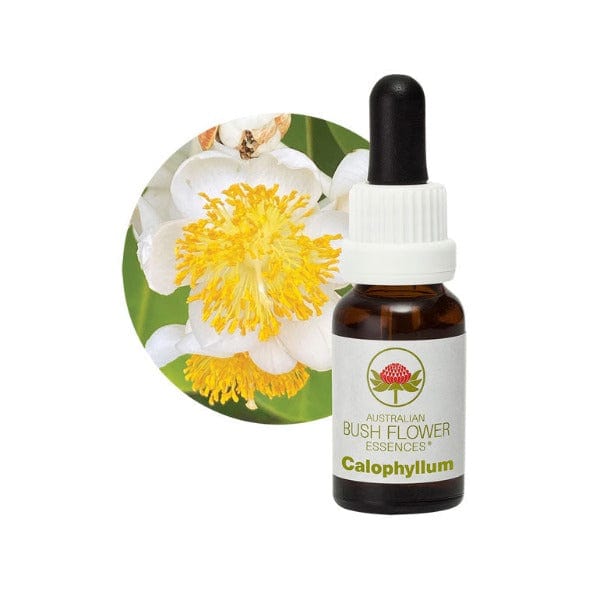 Australian Bush Flower Essences Calophyllum 15ml