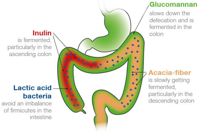 Dr Wolz Probiocolon® 315g