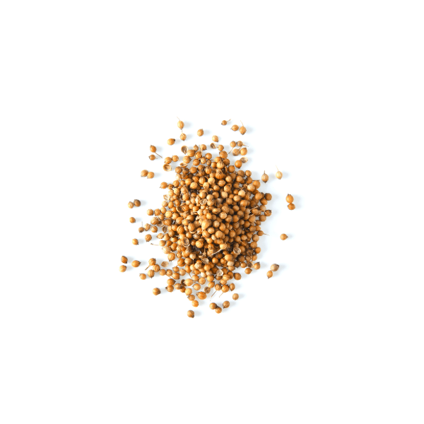 Whole Coriander Seeds 50g