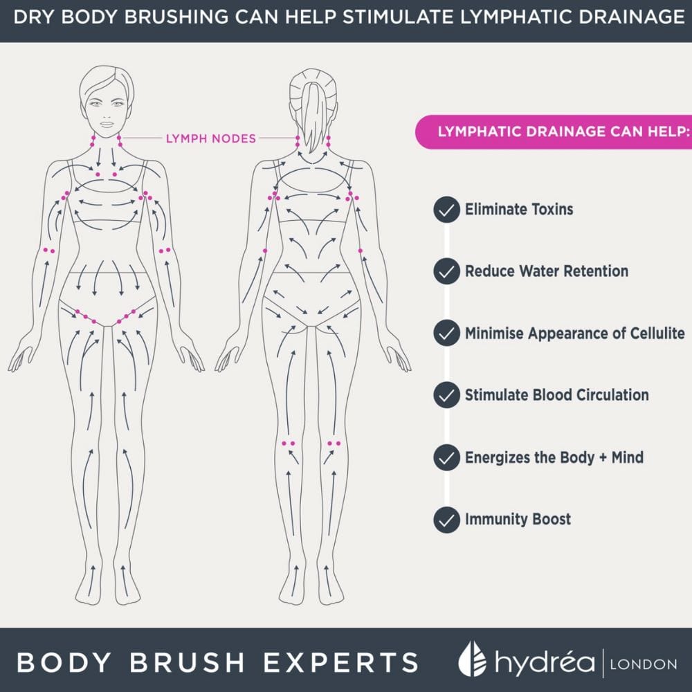 Hydrea Vegan Body Brush