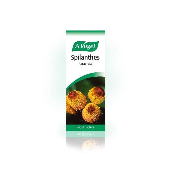 A. Vogel Spilanthes Paracress 50ml