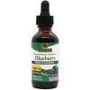 Nature's Answer Blueberry Fruit Extract 60ml