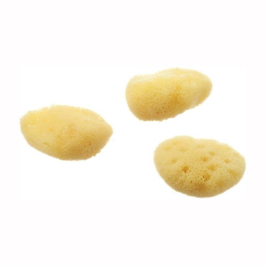 Hydrea 100% Natural Cosmetic Sea Sponge Set