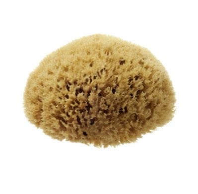 Hydrea 100% Natural Honeycomb Sea Sponge