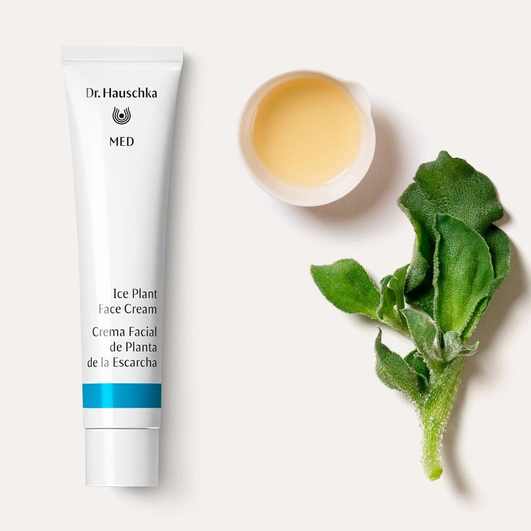 Dr Hauschka MED Ice Plant Face Cream 40ml