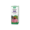 A Vogel Echinaforce Hot drink 100ml