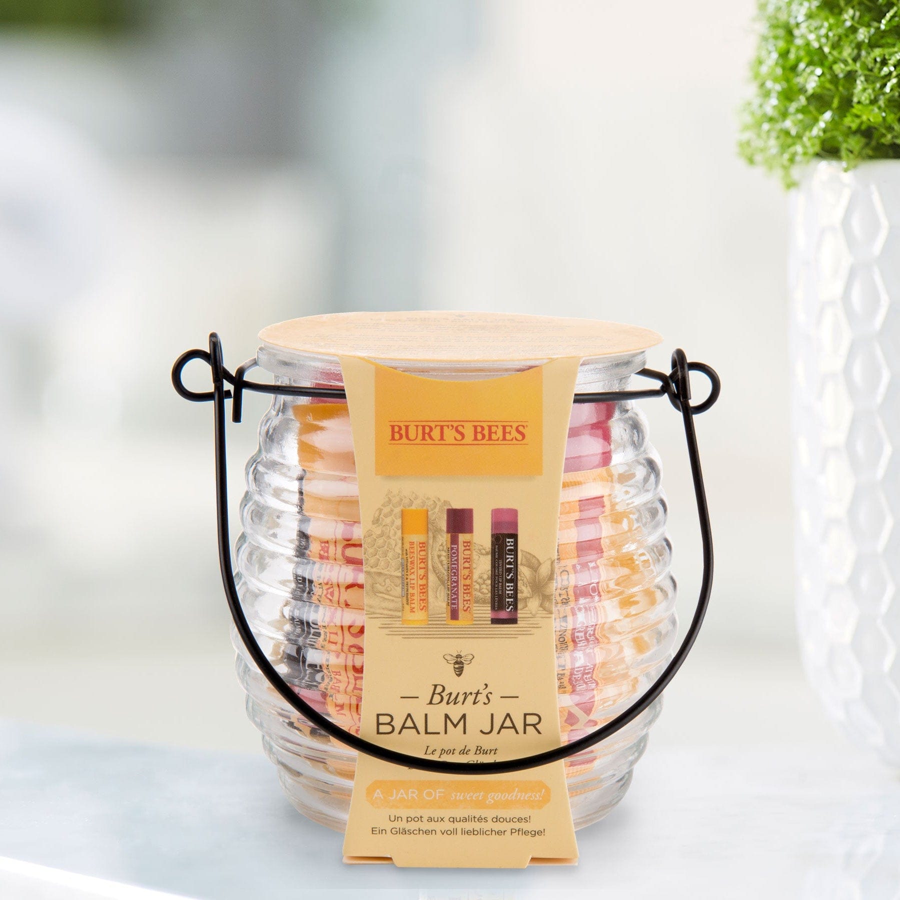Burt's Bees Burt's Balm Jar Gift Set