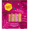 Burt's Bees Fruity Lip Balms (4 Pack) Gift Set