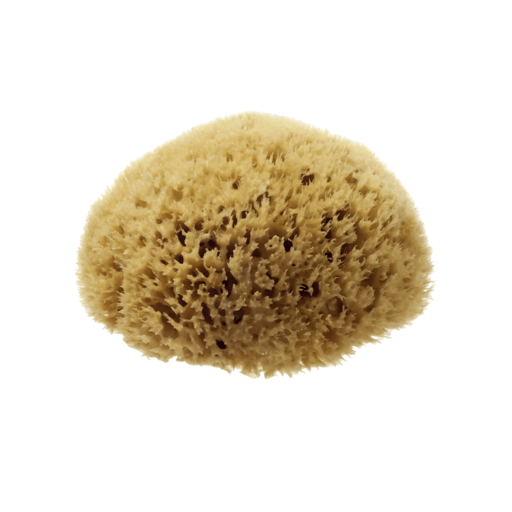 Hydrea 100% Natural Honeycomb Sea Sponge