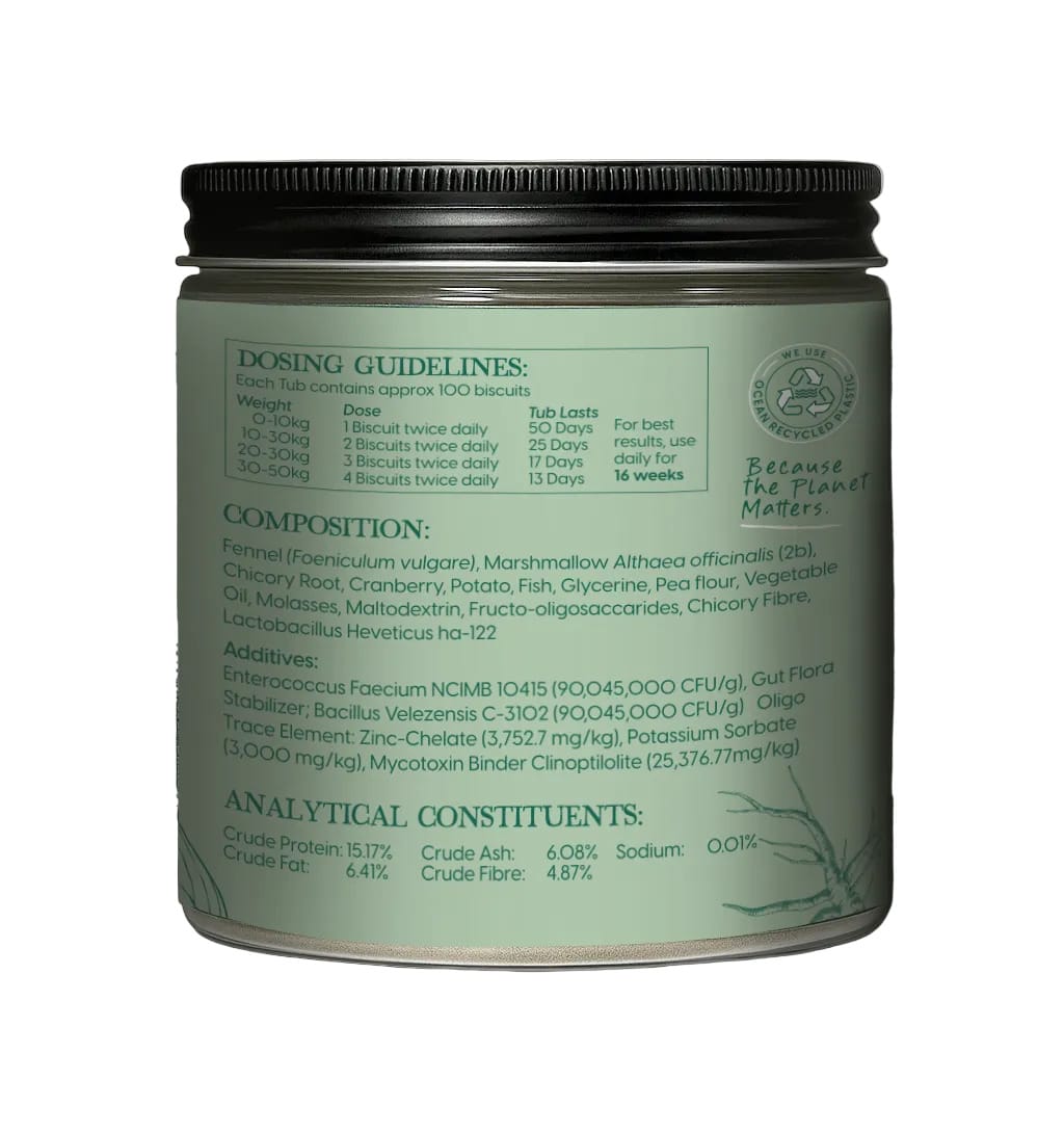 Natural Pet Co. Pre & Pro Biotic Digestive Care For Dogs 300g