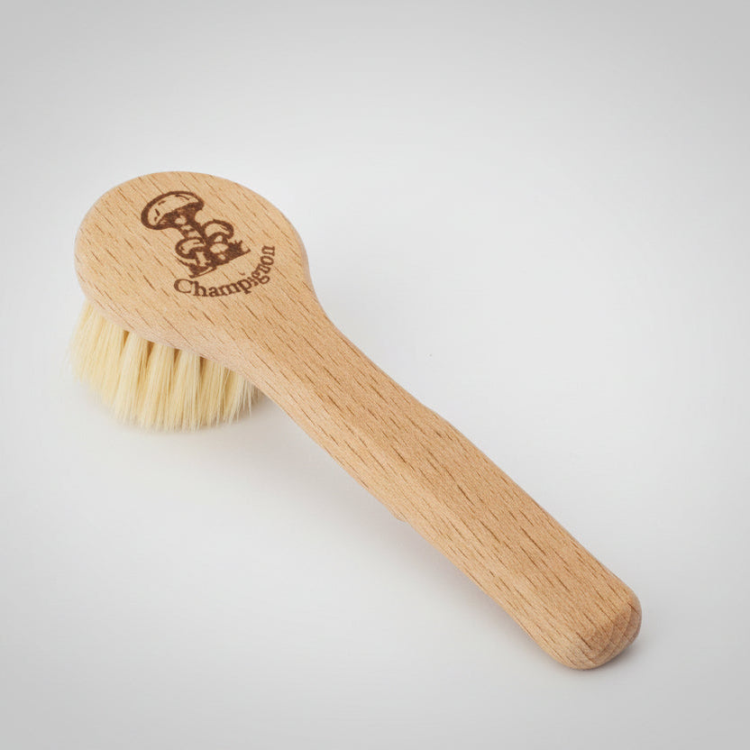 Wooden brush with bristle head and engraved logo on a white background