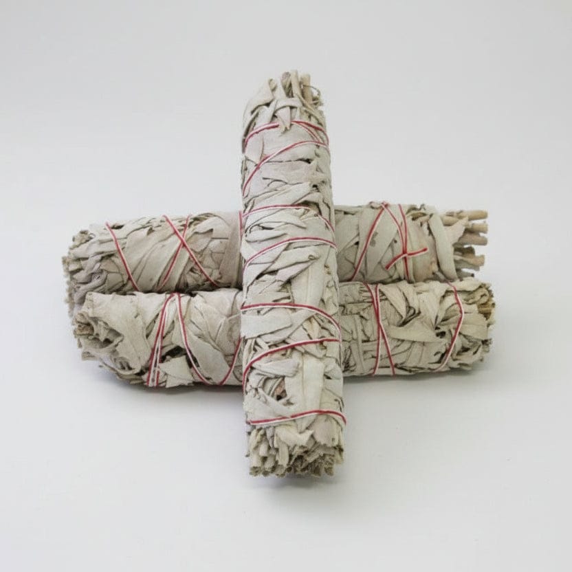 Three rolled sage smudge sticks tied with red string on a white background