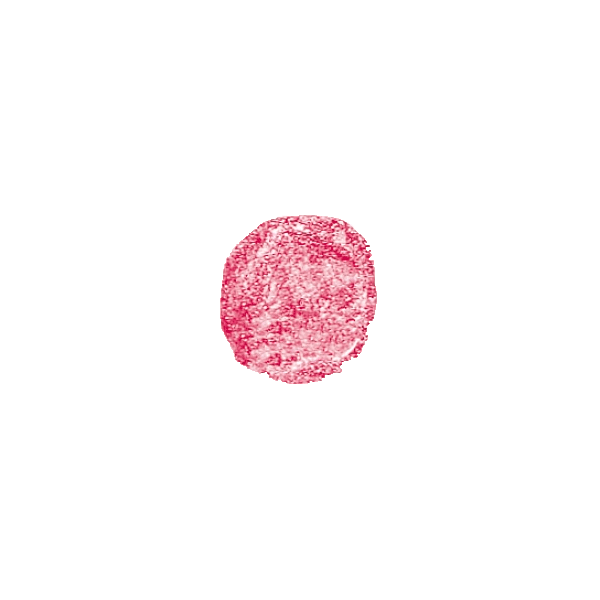 Benecos Natural Lip Gloss Flamingo