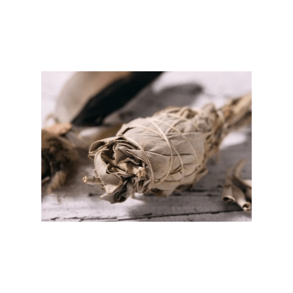 Sage Smudge Sticks