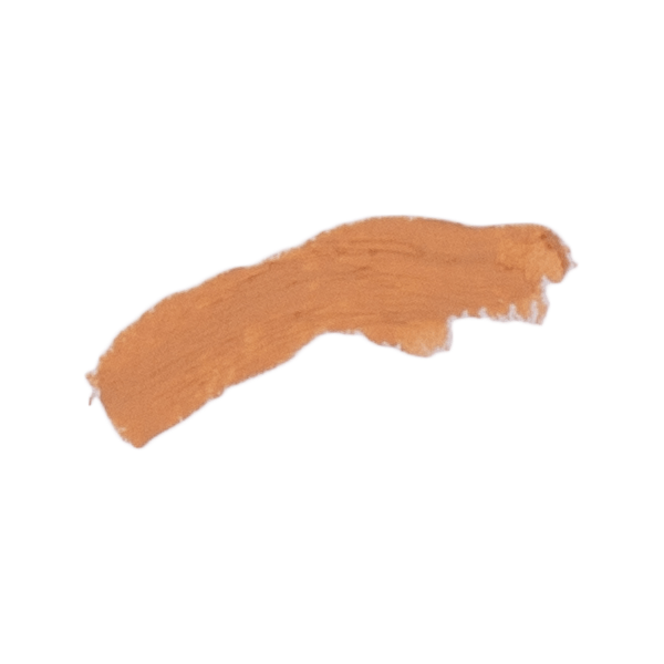 Benecos Vegan Natural Cover Stick - Vanilla - 4.5g