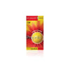 Bee Health Propolis Lozenges