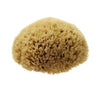 Hydrea 100% Natural Honeycomb Sea Sponge